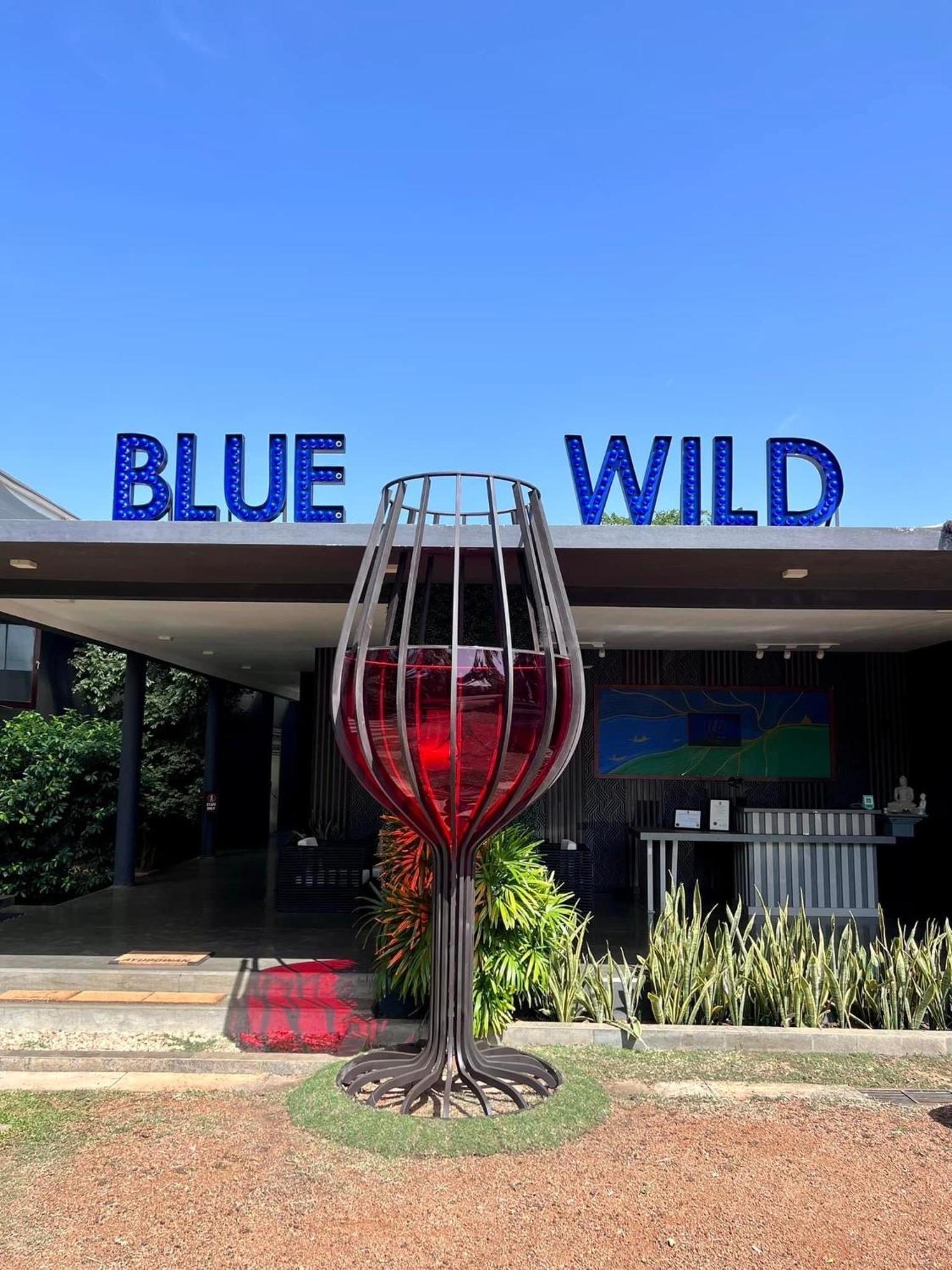 Blue Wild - Yala - Plastic Free & Sustainable Tissamaharama Luaran gambar